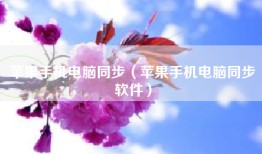 苹果手机电脑同步（苹果手机电脑同步软件）