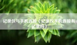 记录仪与手机连接（记录仪手机连接有记录吗）