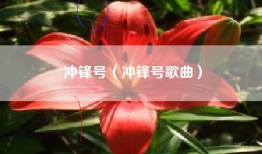 冲锋号（冲锋号歌曲）