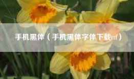 手机黑体（手机黑体字体下载ttf）