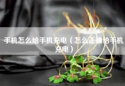 手机怎么给手机充电（怎么正确给手机充电）