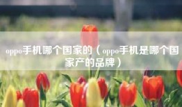 oppo手机哪个国家的（oppo手机是哪个国家产的品牌）