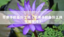 苹果手机备份工具（苹果手机备份工具在哪里找）