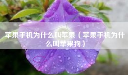 苹果手机为什么叫苹果（苹果手机为什么叫苹果狗）