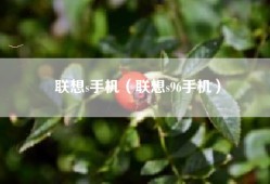 联想s手机（联想s96手机）