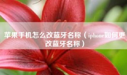 苹果手机怎么改蓝牙名称（iphone如何更改蓝牙名称）