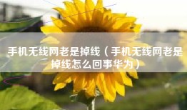 手机无线网老是掉线（手机无线网老是掉线怎么回事华为）