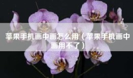 苹果手机画中画怎么用（苹果手机画中画用不了）