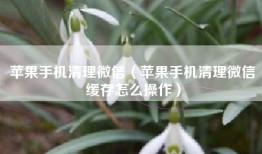 苹果手机清理微信（苹果手机清理微信缓存怎么操作）