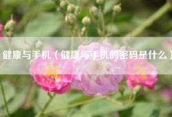 健康与手机（健康与手机的密码是什么）