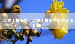 苹果手机千牛（苹果手机千牛无法使用相册）