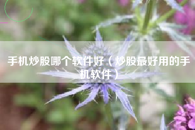 手机炒股哪个软件好（炒股最好用的手机软件）