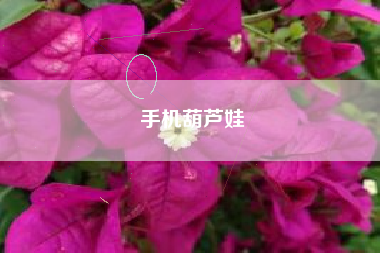 手机葫芦娃