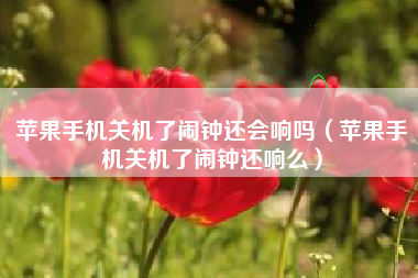 苹果手机关机了闹钟还会响吗（苹果手机关机了闹钟还响么）