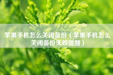 苹果手机怎么关闭备份（苹果手机怎么关闭备份失败提醒）