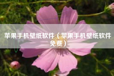 苹果手机壁纸软件（苹果手机壁纸软件免费）